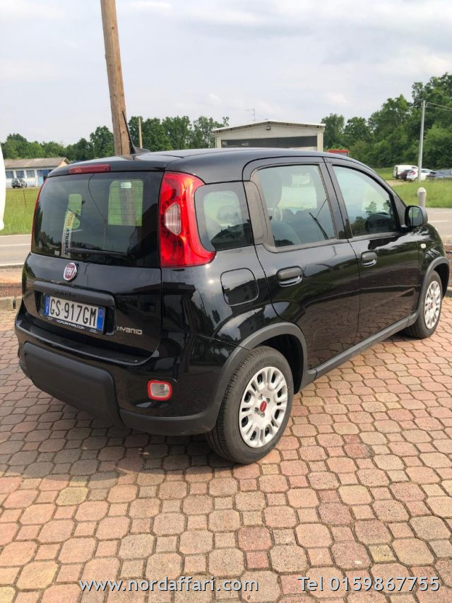 Fiat Panda 1.0 FireFly S&S Hybrid usato a BRUSNENGO