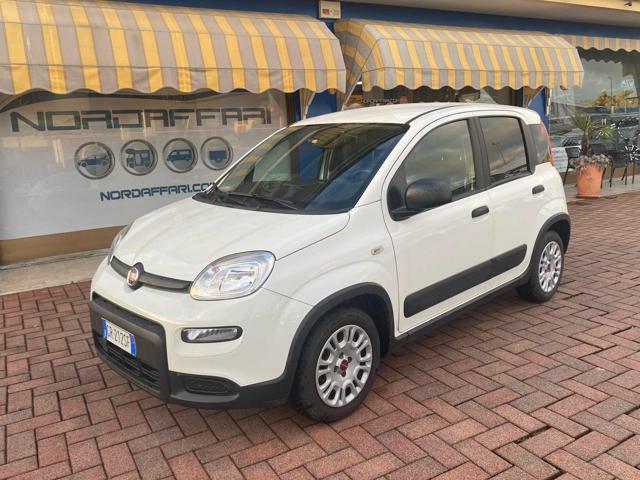 Fiat Panda 1.0 S&S Hybrid Van 4 posti N1, del 2023, 27.063 km, in vendita a Brusnengo (BI)