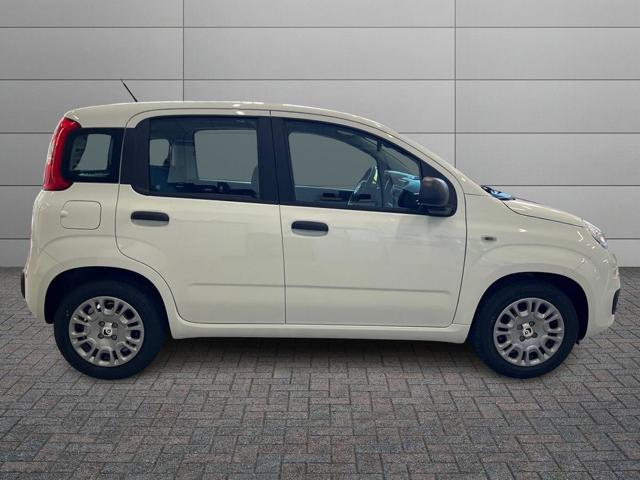 Fiat Pandina Pandina Pop - foto 3 di 4