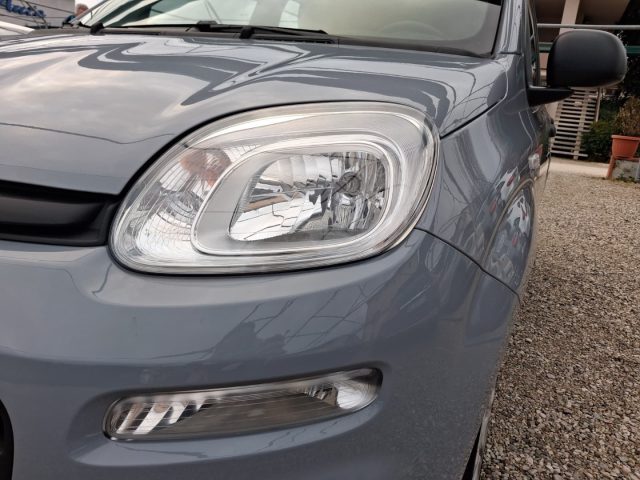 Fiat Panda 1.0 FireFly S&S Hybrid Easy - foto 4 di 4