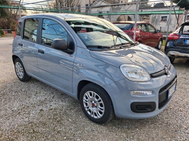 Fiat Panda 1.0 FireFly S&S Hybrid Easy - foto 3 di 4