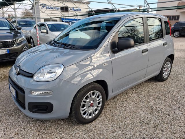Fiat Panda 1.0 FireFly S&S Hybrid Easy usato a MORIAGO DELLA BATTAGLIA