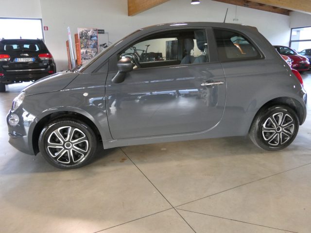 Fiat 500 1.0 Hybrid Cult usato a BRUNICO
