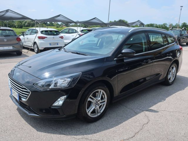 Ford Focus Focus SW 1.5 ecoblue 120cv Business Co-pilot auto usato a PONTE DI PIAVE