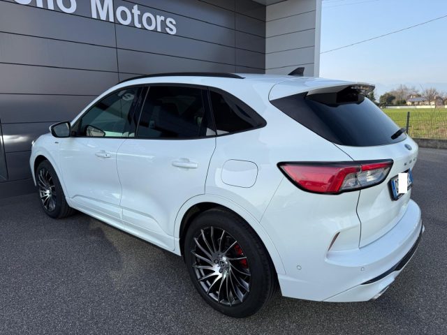 Ford Kuga 1.5 EcoBlue 120CV aut. 2WD ST-Line X N1 AUTOCARRO - foto 4 di 4