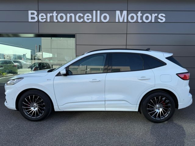 Ford Kuga 1.5 EcoBlue 120CV aut. 2WD ST-Line X N1 AUTOCARRO - foto 3 di 4