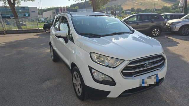 Ford EcoSport 1.0 EcoBoost 100 CV Business RECANATI - foto 3 di 4