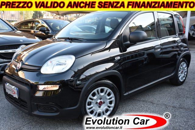 Fiat Panda 1.0 FireFly S&S Hybrid usato a ROMA