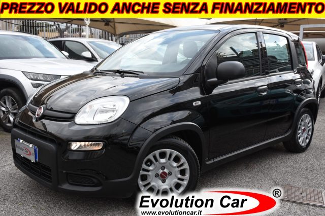 Fiat Panda 1.0 FireFly S&S Hybrid **5 POSTI** usato a ROMA