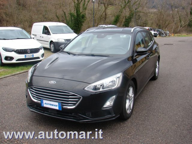 Ford Focus 1.5 EcoBlue 120 CV SW Business usato a ARCIDOSSO