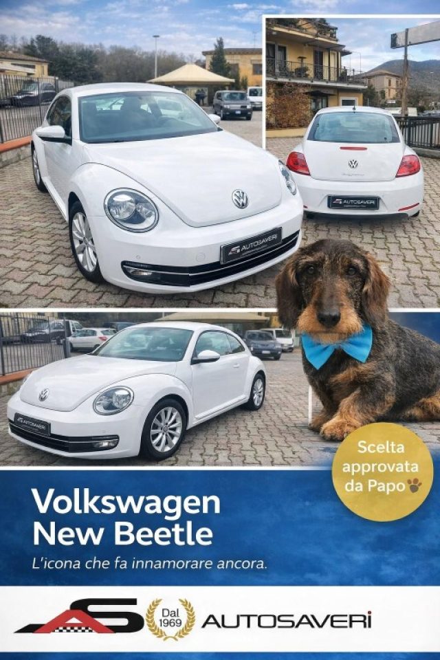 Volkswagen Maggiolino 1.2 TSI Design usato a ACQUASPARTA