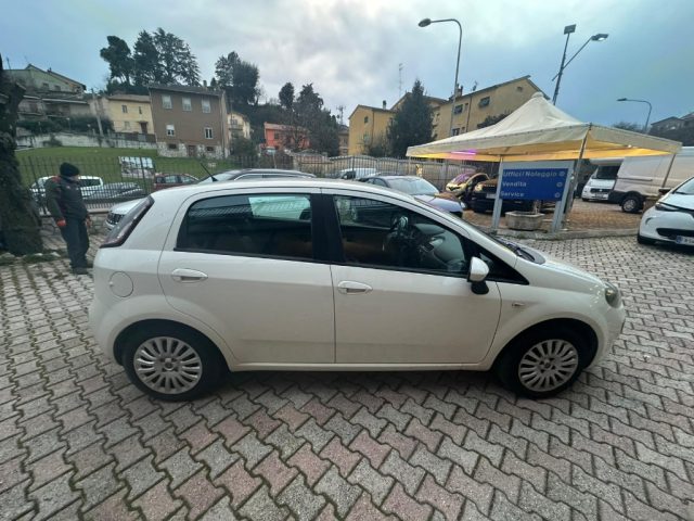 Fiat Punto Classic 1.3 MJT 5 porte Active usato a ACQUASPARTA