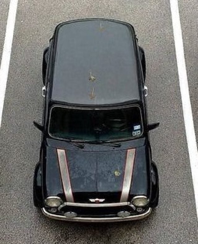 Rover MINI 1.3 cat 35° Anniversario, del 1994, 80.000 km, in vendita a Acquasparta (TR)