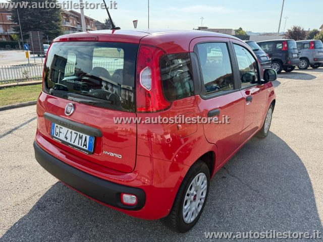 Fiat Panda 1.0 FireFly S&S Hybrid Easy - foto 4 di 4