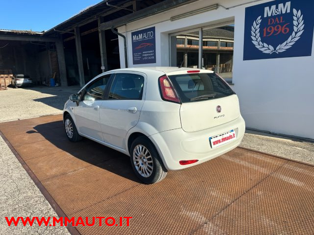Fiat Punto 1.3 MJT II 75 CV 5 porte Street MOTORE NUOVO!!!!!! usato a SAVIGNANO SUL RUBICONE