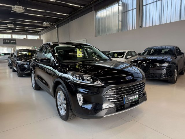Ford Kuga 2.0 ecoblue mhev Titanium Business 150cv usato a MERANO