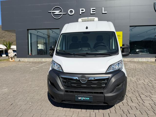Opel Movano 35 2.2 BlueHDi 140 S&S PC-TN Furgone usato a ATENA LUCANA