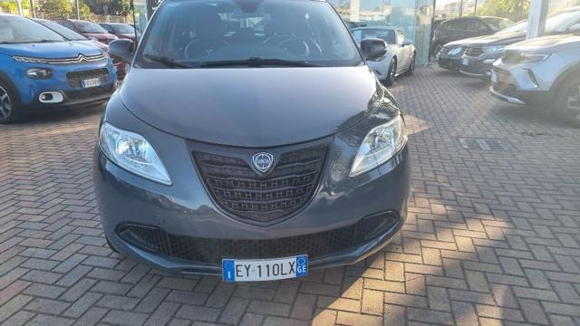 Lancia Ypsilon 1.2 69 CV 5 porte Elefantino usato a SAVONA