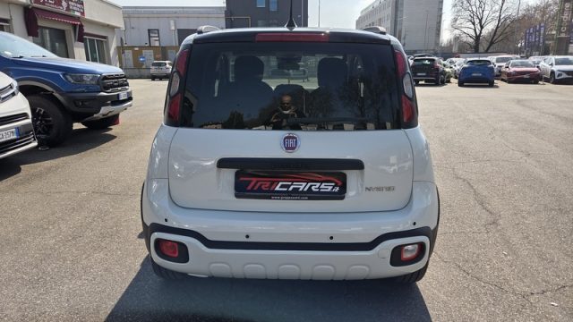 Fiat Panda 1.0 FireFly S&S Hybrid Pandina Cross PERMUTE NEOPA - foto 4 di 4
