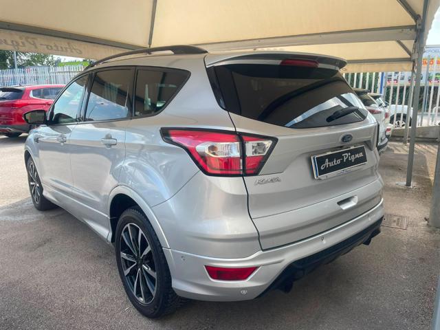 Ford Kuga 1.5 TDCI 120CV S&S 2WD Powershift ST-Line Business - foto 4 di 4