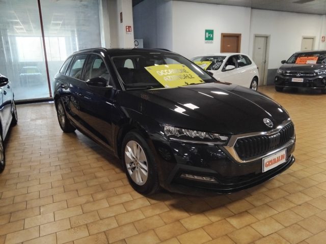 Skoda Octavia 2.0 TDI EVO DSG Wag. Exec. GRIMALDI SPECIAL DAY usato a VIGEVANO