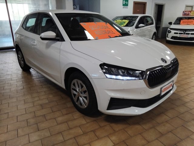 Skoda Fabia 1.0 MPI 80 CV Ambition C/GRIMALDI SPECIAL DAY usato a VIGEVANO