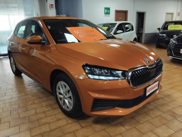 Skoda Fabia 1.0 MPI 80 CV Ambition C/GRIMALDI SPECIAL DAY usato a VIGEVANO