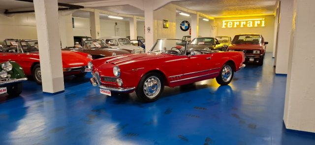 Alfa Romeo Spider TOURING*ITALIANA DA SEMPRE - TARGHE MODENA - foto 2 di 4