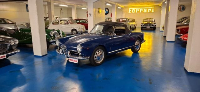 Alfa Romeo Giulietta SPIDER 750 D *ASI TARGA ARG*FIVA - foto 3 di 4