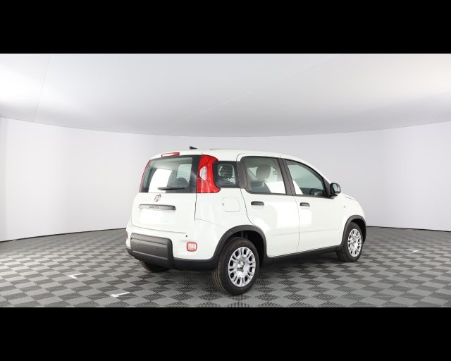 Fiat Pandina III 2024 - 1.0 firefly hybrid s&s 70cv - foto 2 di 4