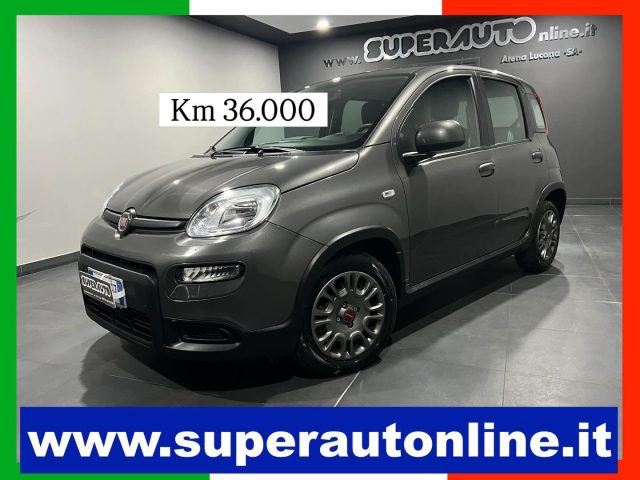 Fiat Panda 1.0 FireFly S&S Hybrid usato a ATENA LUCANA