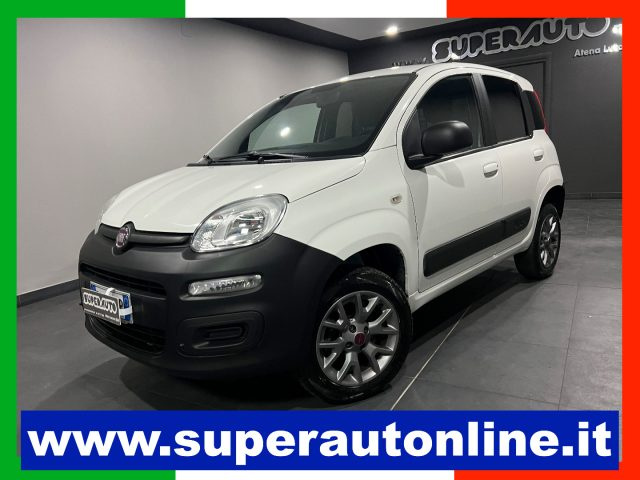 Fiat Panda 1.3 MJT 4x4 Van BLOCCO DIFFERENZIALE usato a ATENA LUCANA