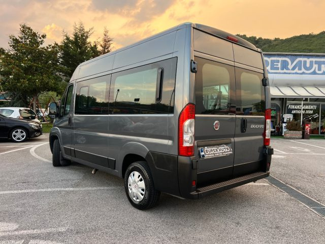 Fiat Ducato 33 2.3 MJT 130CV PM-TM Panorama 9 posti - foto 3 di 4