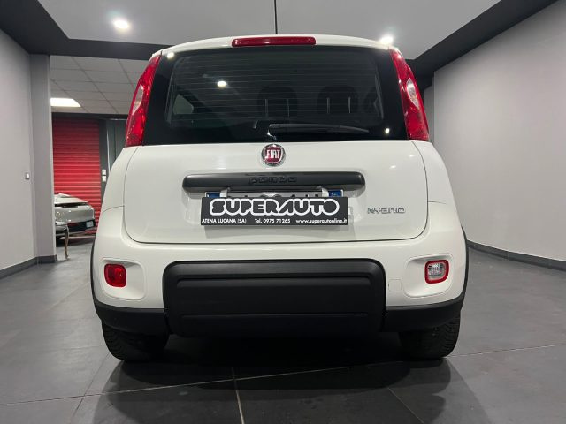 Fiat Panda 1.0 FireFly S&S Hybrid - foto 3 di 4