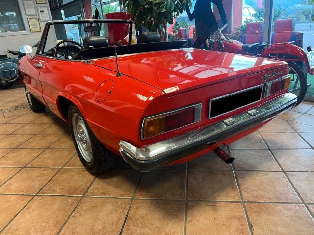 Alfa Romeo Spider DUETTO CODA TRONCA 1.3 - foto 4 di 4