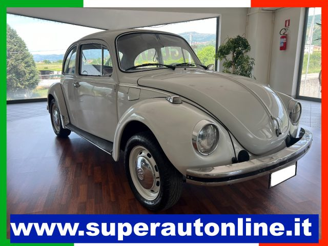 Volkswagen Maggiolone Maggiolino usato a ATENA LUCANA