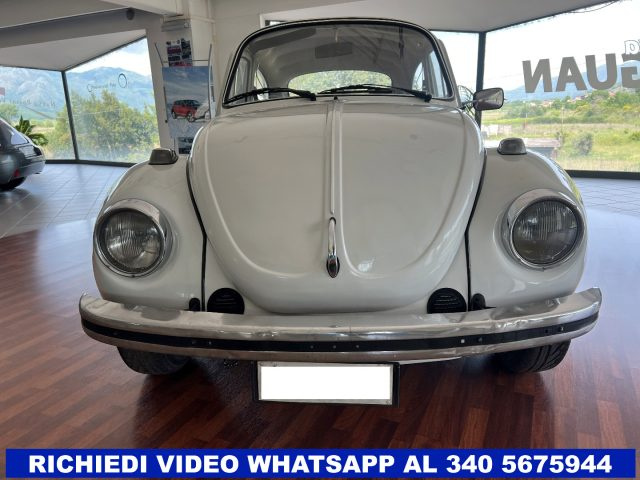 Volkswagen Maggiolone Maggiolino - foto 2 di 4