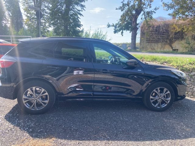 Ford Kuga 1.5 EcoBoost 150 CV 2WD ST-Line, del 2023, 36.900 km, in vendita a Massarosa (LU)