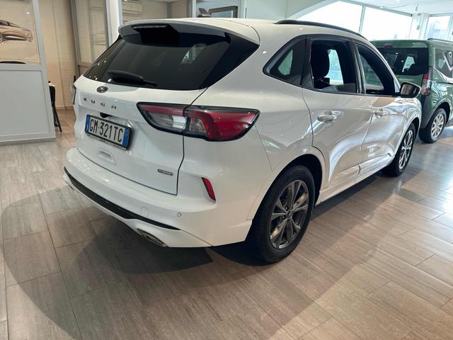 Ford Kuga 2.5 Full Hybrid 190 CV CVT 2WD ST-Line - foto 4 di 4