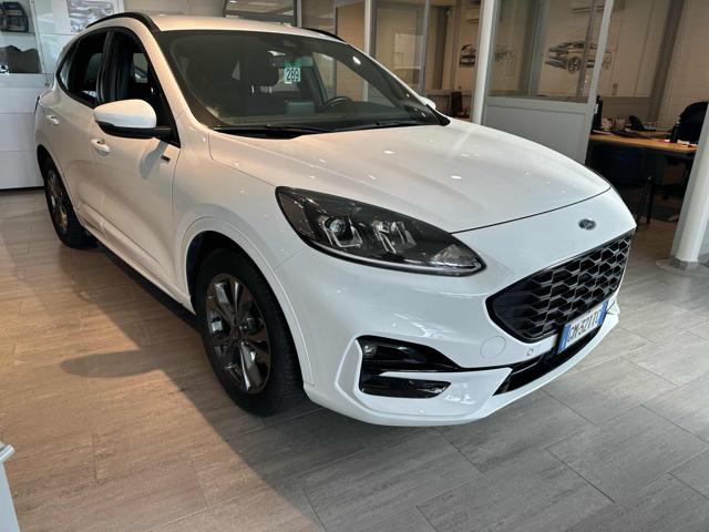 Ford Kuga 2.5 Full Hybrid 190 CV CVT 2WD ST-Line usato a MASSAROSA