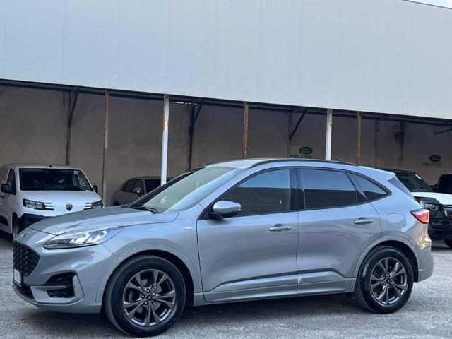 Ford Kuga 1.5 EcoBlue 120 CV aut. 2WD ST-Line X usato a MASSAROSA
