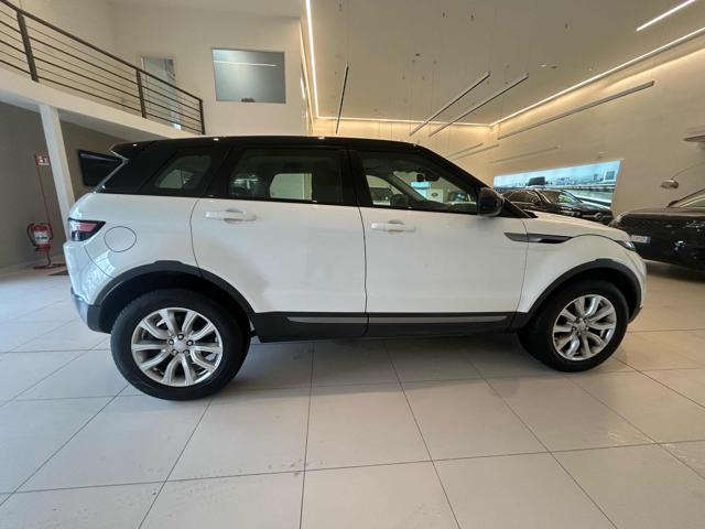 Land Rover Range Rover Evoque 2.0 eD4 5p. Business Edition Premium Pure usato a MASSAROSA