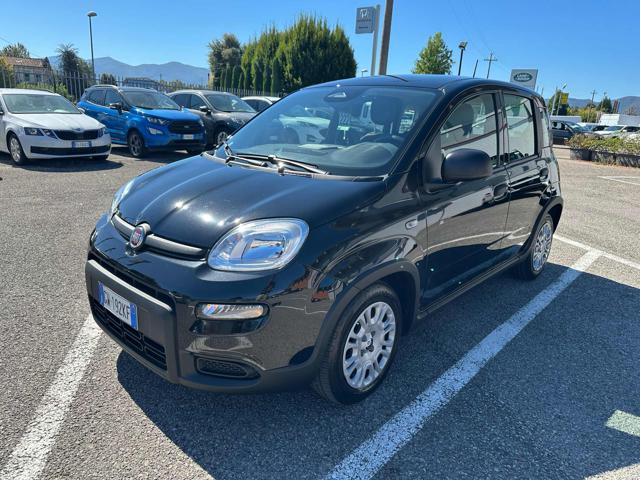 Fiat Panda 1.0 FireFly S&S Hybrid - foto 3 di 4