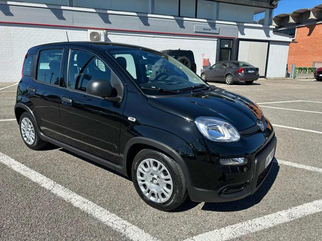 Fiat Panda 1.0 FireFly S&S Hybrid, del 2024, 38.523 km, in vendita a Massarosa (LU)