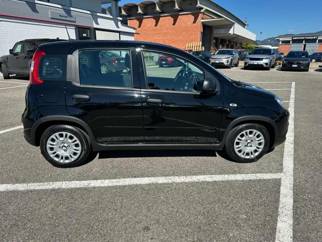 Fiat Panda 1.0 FireFly S&S Hybrid - foto 4 di 4