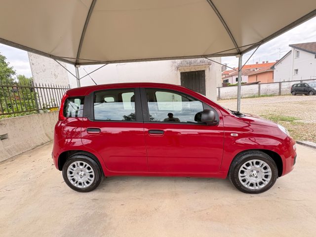 Fiat Panda 1.0 FireFly S&S IBRIDA COME NUOVA - foto 4 di 4