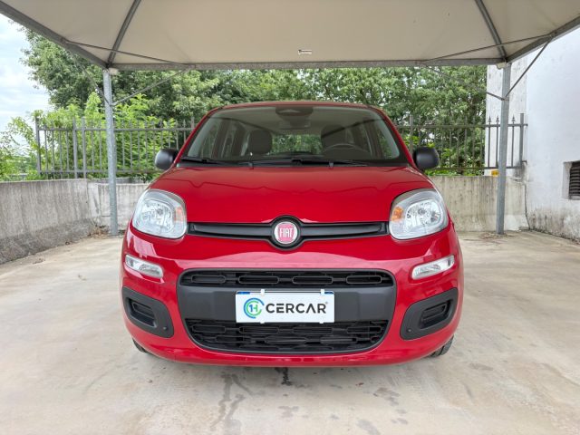 Fiat Panda 1.0 FireFly S&S IBRIDA COME NUOVA - foto 2 di 4
