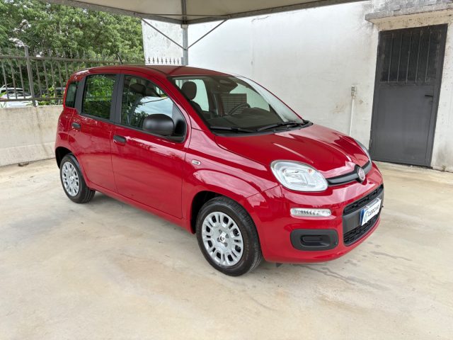 Fiat Panda 1.0 FireFly S&S IBRIDA COME NUOVA - foto 3 di 4