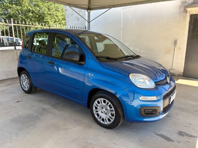 Fiat Pandina 1.0 FireFly 70 CV Hybrid Icon COME NUOVA - foto 3 di 4
