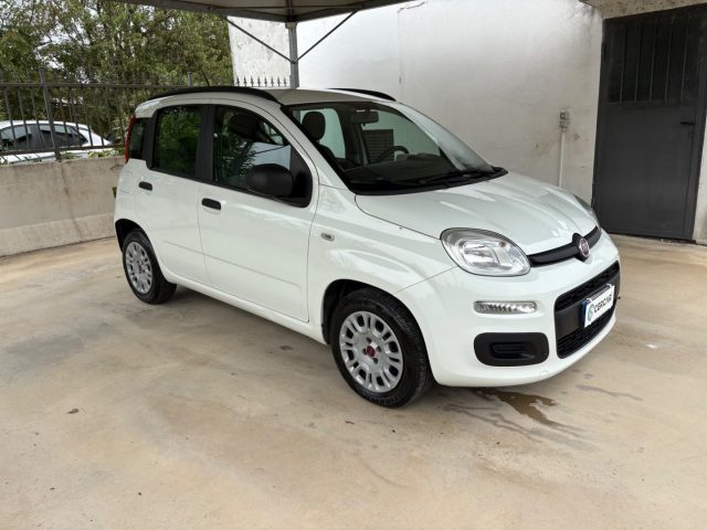 Fiat Panda 1.2 Easy EURO 6 5 POSTI OK NEOPATENTATI - foto 3 di 4